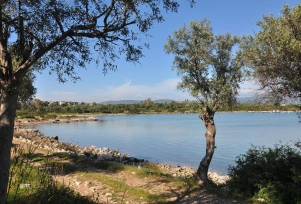 Akvaryum Plajı - 1