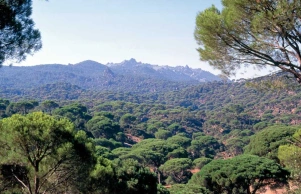 Beşparmak (Latmos) Dağları - 2